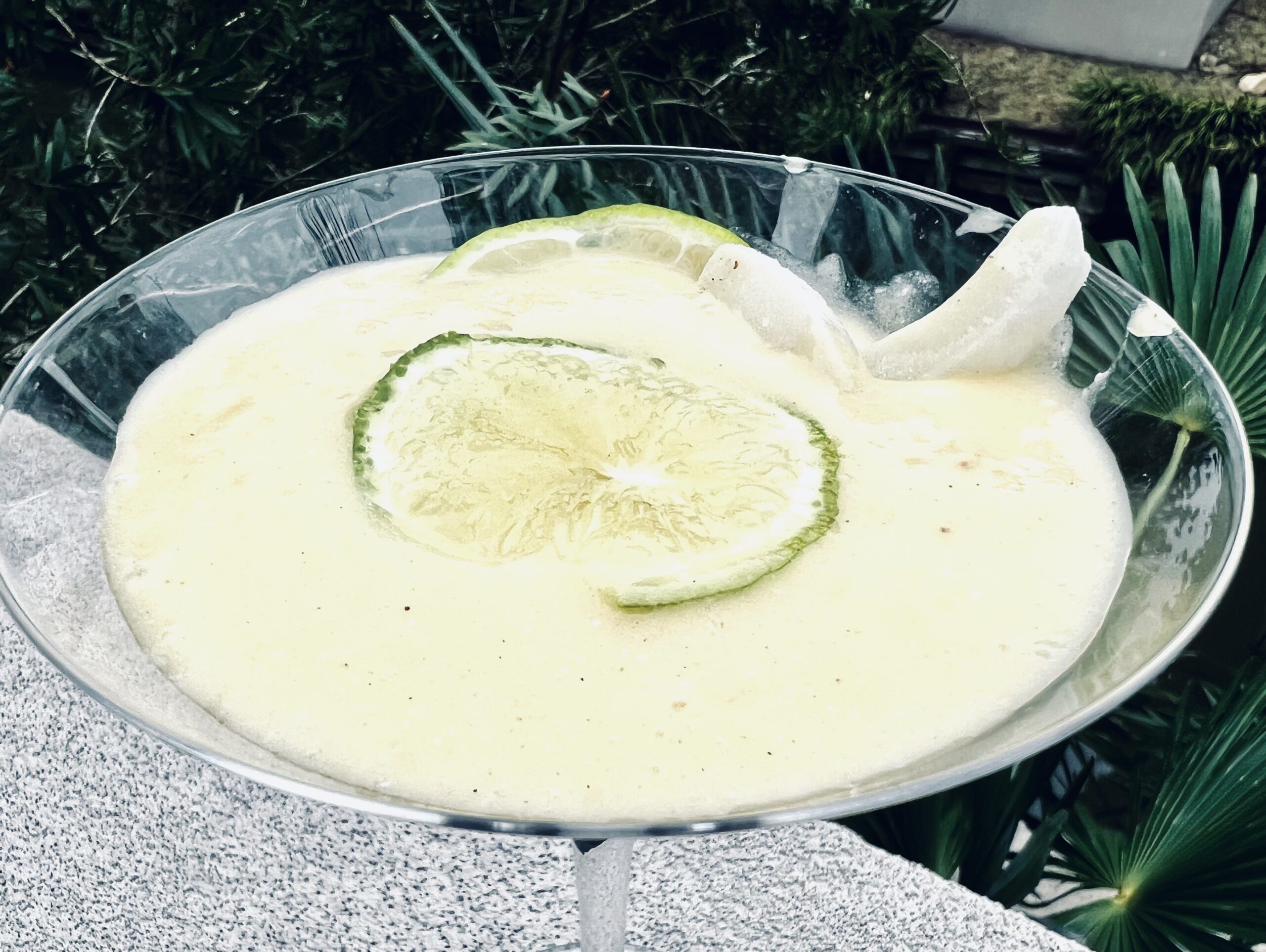 Pineapple Lime Coconut Smoothie UltraTruffle